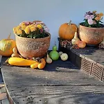 Appartement Agro&art *