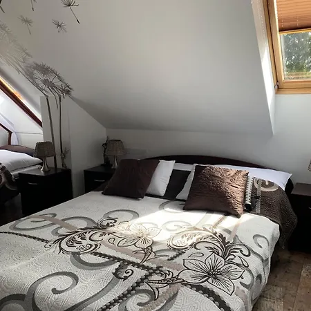 아파트 Agro&art Plocin