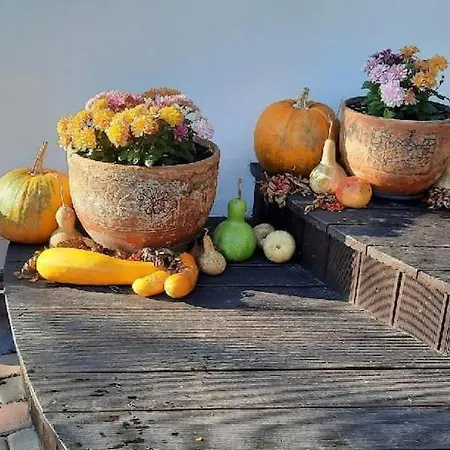 شقة Agro&art *