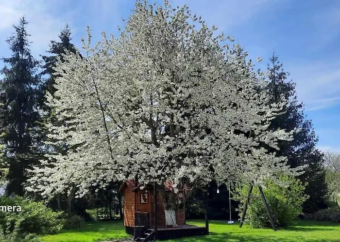 Appartement Agro&art *