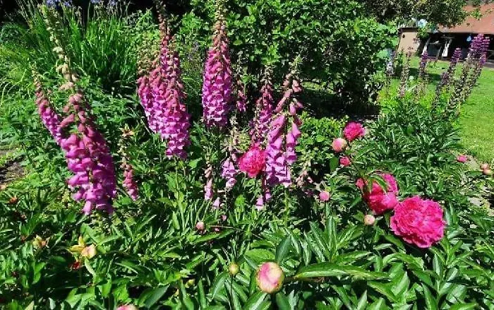 Appartement Agro&art *